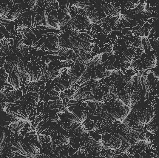 flow fields